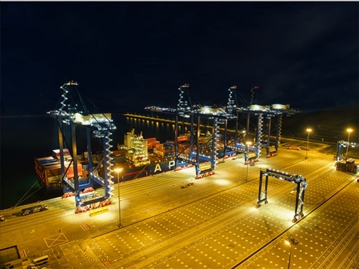 萊基港實(shí)行7×24小時(shí)裝卸作業(yè)機(jī)制。受訪者供圖