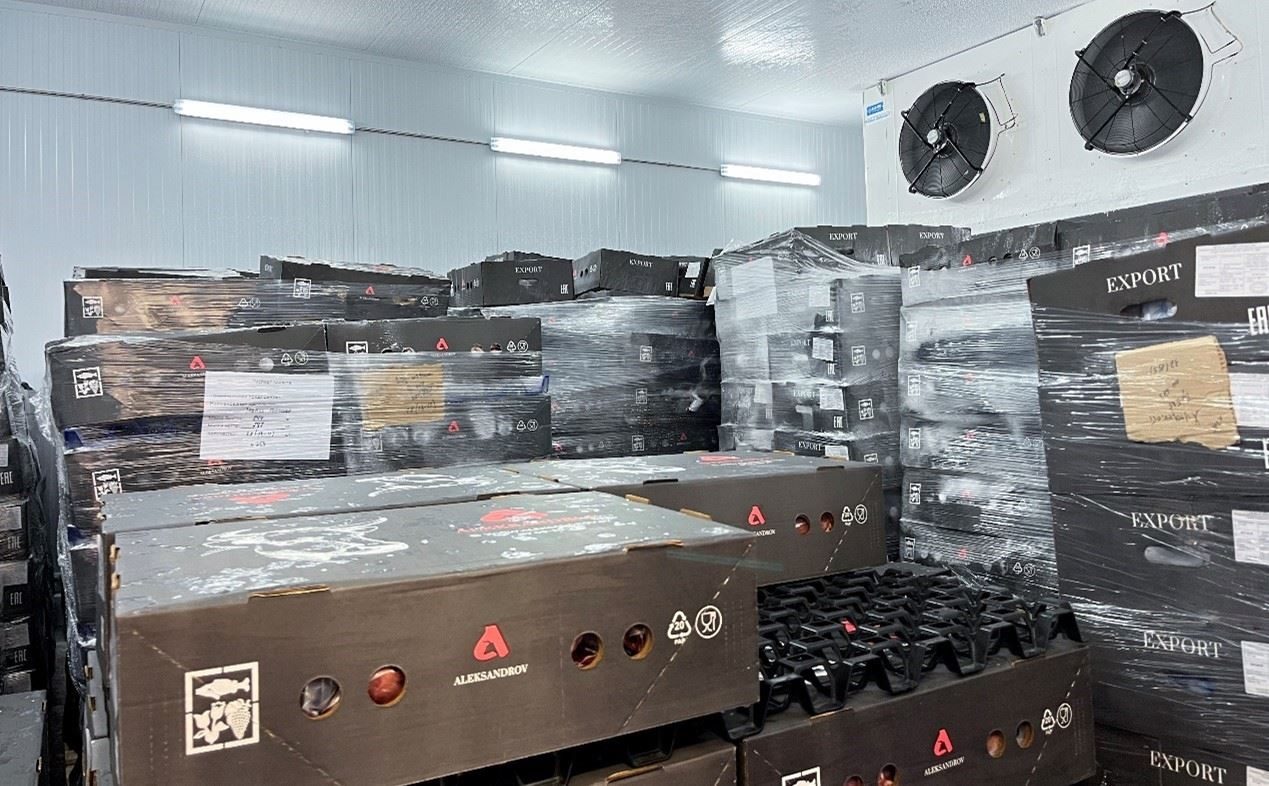 恒溫冷庫中，包裝好的牛肉等待發(fā)往中國。人民網記者 朱虹攝