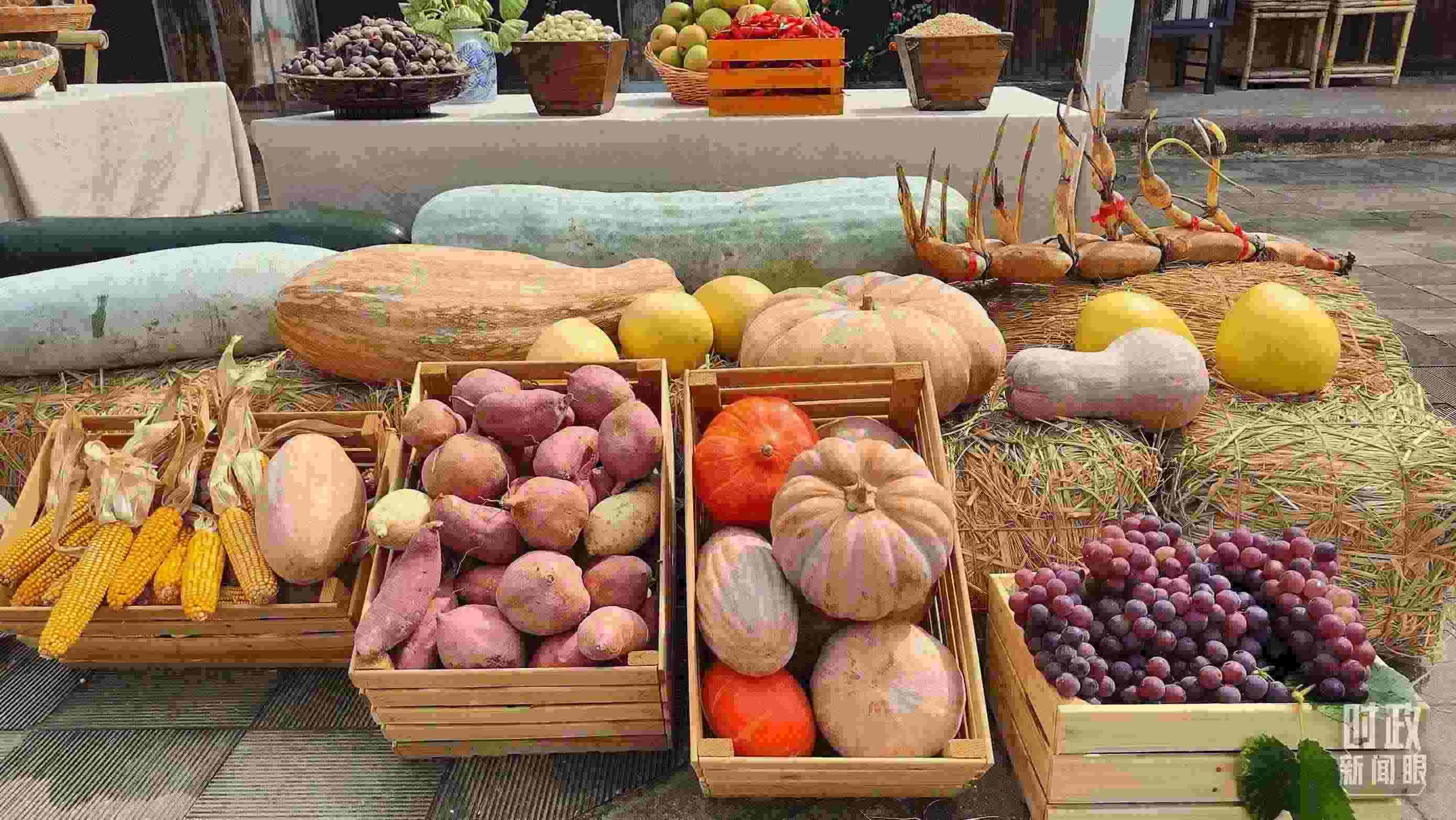 △村廣場“共富市集”，擺放著種類豐富的特色農(nóng)產(chǎn)品。（總臺央視記者楊立峰拍攝）