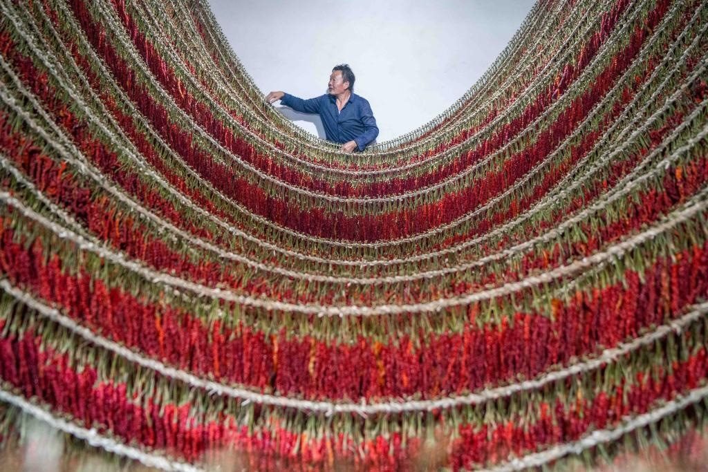 在貴州省畢節(jié)市大方縣理化鄉(xiāng)金雞村，村民查看辣椒烘干情況。新華社發(fā) 羅大富攝