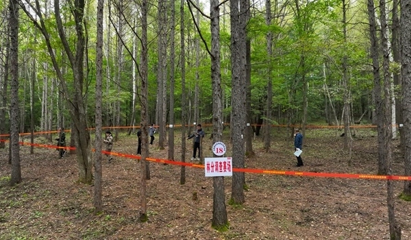 競(jìng)賽現(xiàn)場(chǎng)。圖片來(lái)源：國(guó)家林業(yè)和草原局