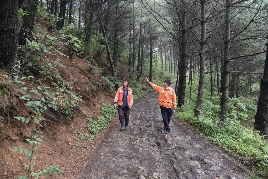 海雀村生態(tài)護(hù)林員馬正安（左）和海雀村林管員王光德（右）在日常巡山護(hù)林。新華社記者 李凡 攝
