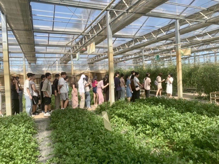 記者團參觀國信現(xiàn)代農業(yè)基地 了解現(xiàn)代化溫室建設及其配套設施的設計生產(chǎn)理念 中國農業(yè)大學勾琳萱 攝