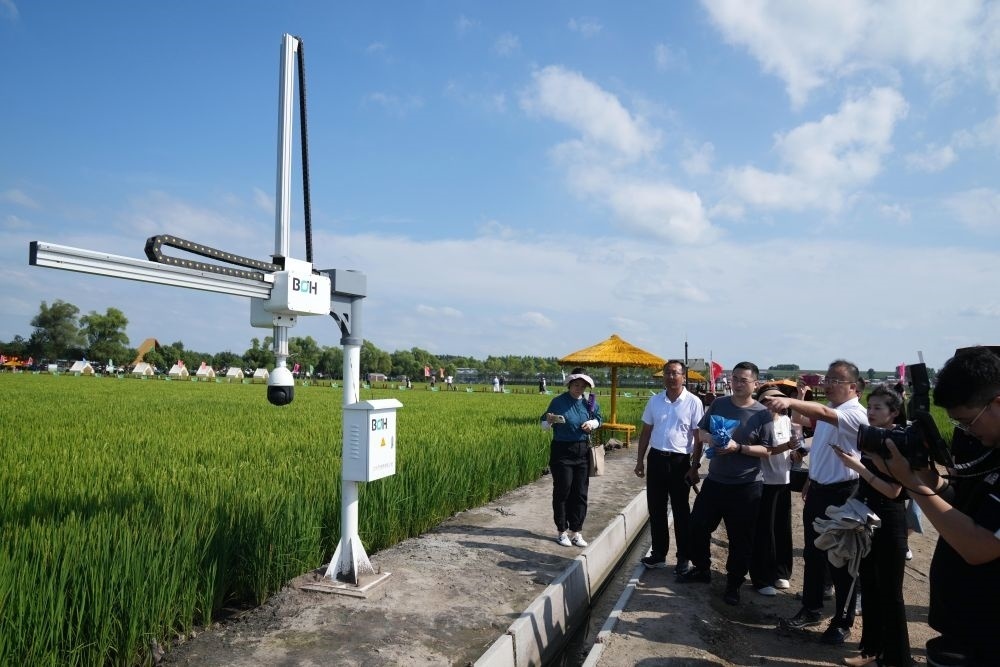 在北大荒集團閆家崗農(nóng)場有限公司農(nóng)業(yè)現(xiàn)代化示范區(qū)，工作人員在介紹利用數(shù)字技術(shù)的葉齡診斷儀（2023年8月10日攝）。新華社記者 王建威 攝