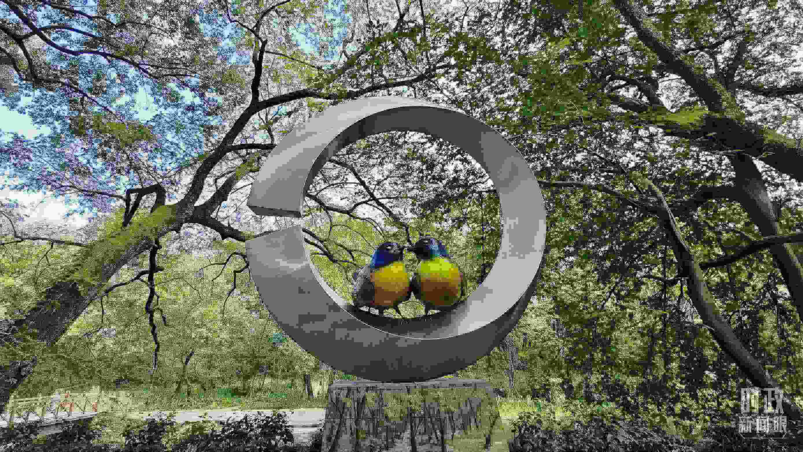 △石門村里的藍冠噪鹛雕像。（總臺央視記者許永松拍攝）