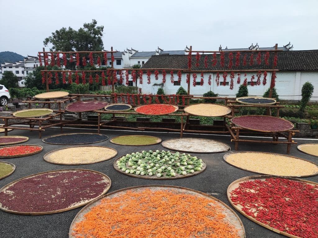 近日，江西省上饒市婺源縣秋口鎮(zhèn)王村村民晾曬的農作物。新華社記者 劉佳敏 攝