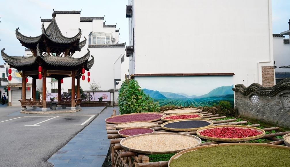 近日拍攝的江西省上饒市婺源縣秋口鎮(zhèn)王村石門自然村曬秋場景。新華社記者 胡晨歡 攝