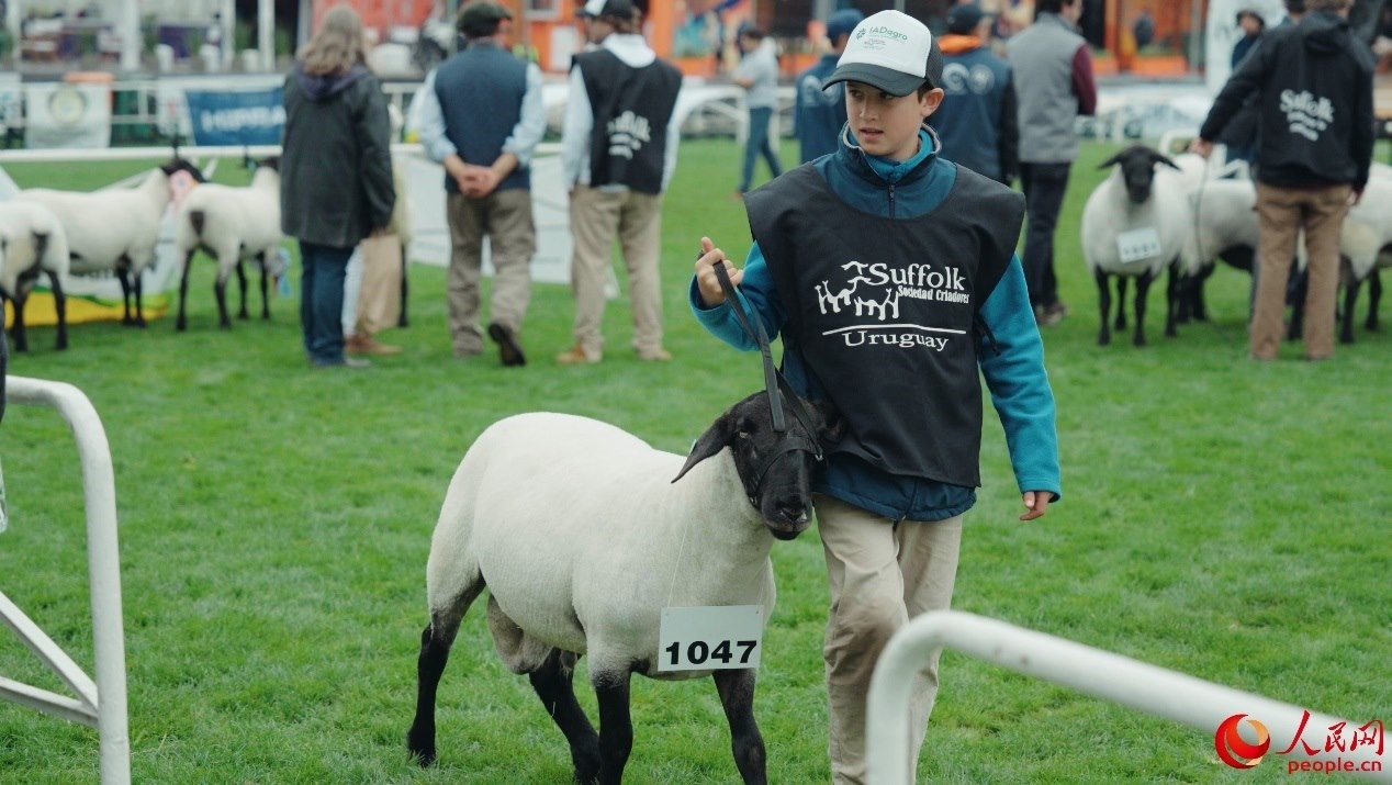 烏拉圭第118屆普拉多牧農(nóng)業(yè)國際博覽會現(xiàn)場。人民網(wǎng)記者 張若涵攝