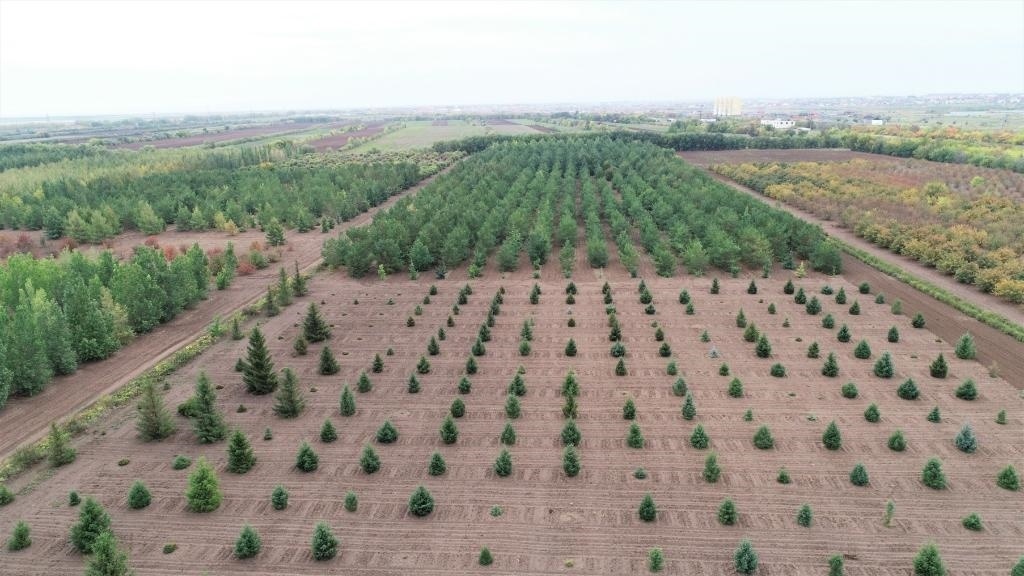 這是2023年9月11日在哈薩克斯坦首都阿斯塔納拍攝的一處植物種質(zhì)資源苗圃（無人機照片）。新華社發(fā)（法爾哈特·圖克諾夫 攝）