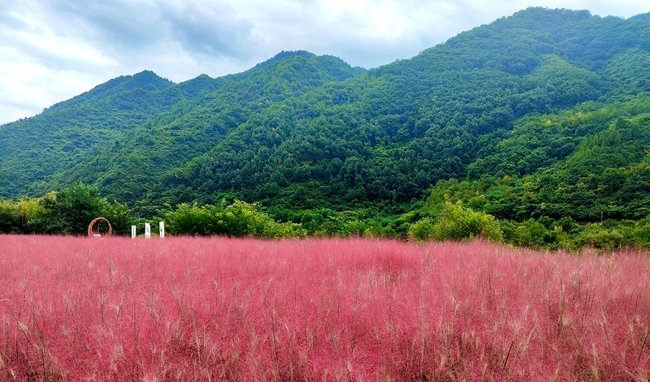 寶成線鳳縣境內(nèi)的路邊。