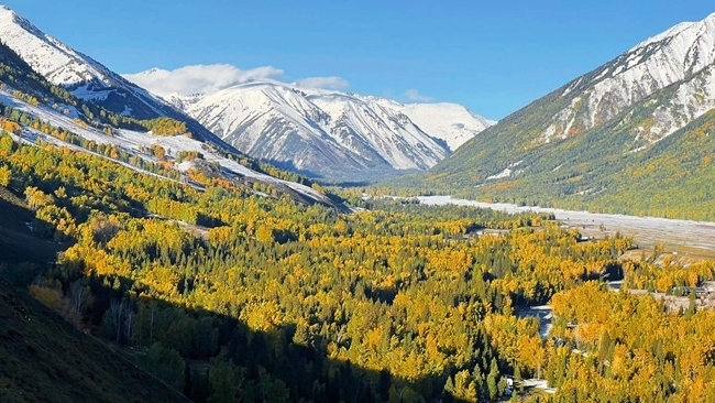 “新東方快車”沿途風景。