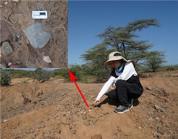 地層中的勒瓦婁哇石片。中肯聯(lián)合考古隊供圖