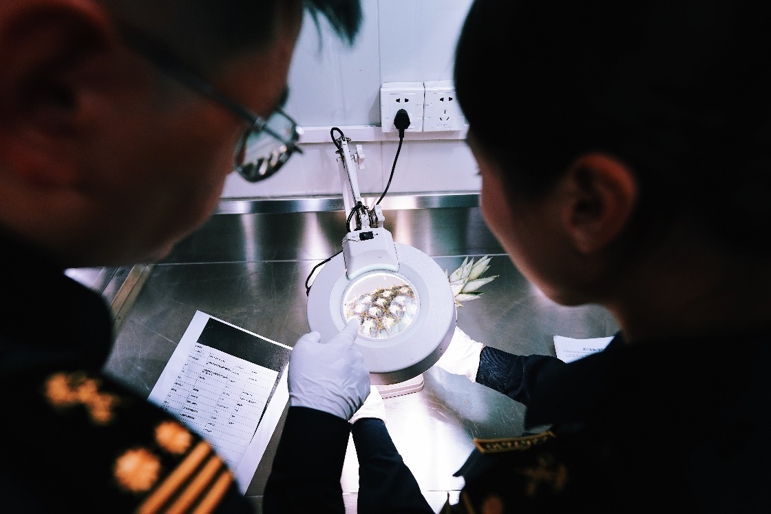 上海海關關員針對檢疫性有害生物和農(nóng)藥殘留進行檢疫檢驗。陳興洲攝