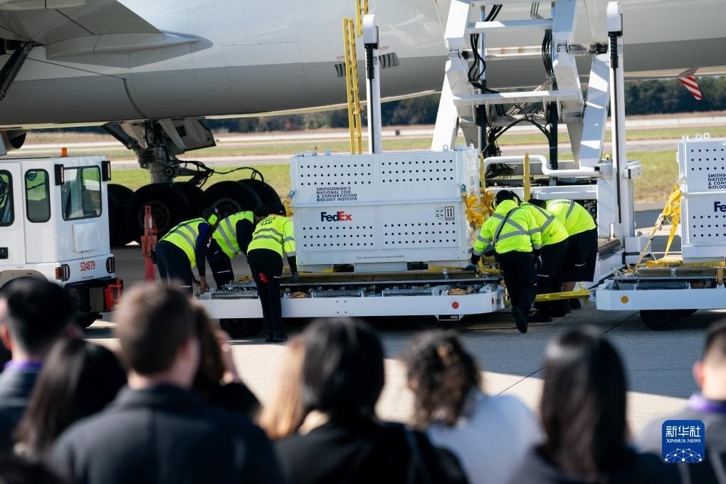 11月8日，在美國弗吉尼亞州的華盛頓杜勒斯國際機場，裝有大熊貓的特制“旅行包廂”準備運上專機。新華社記者劉杰攝
