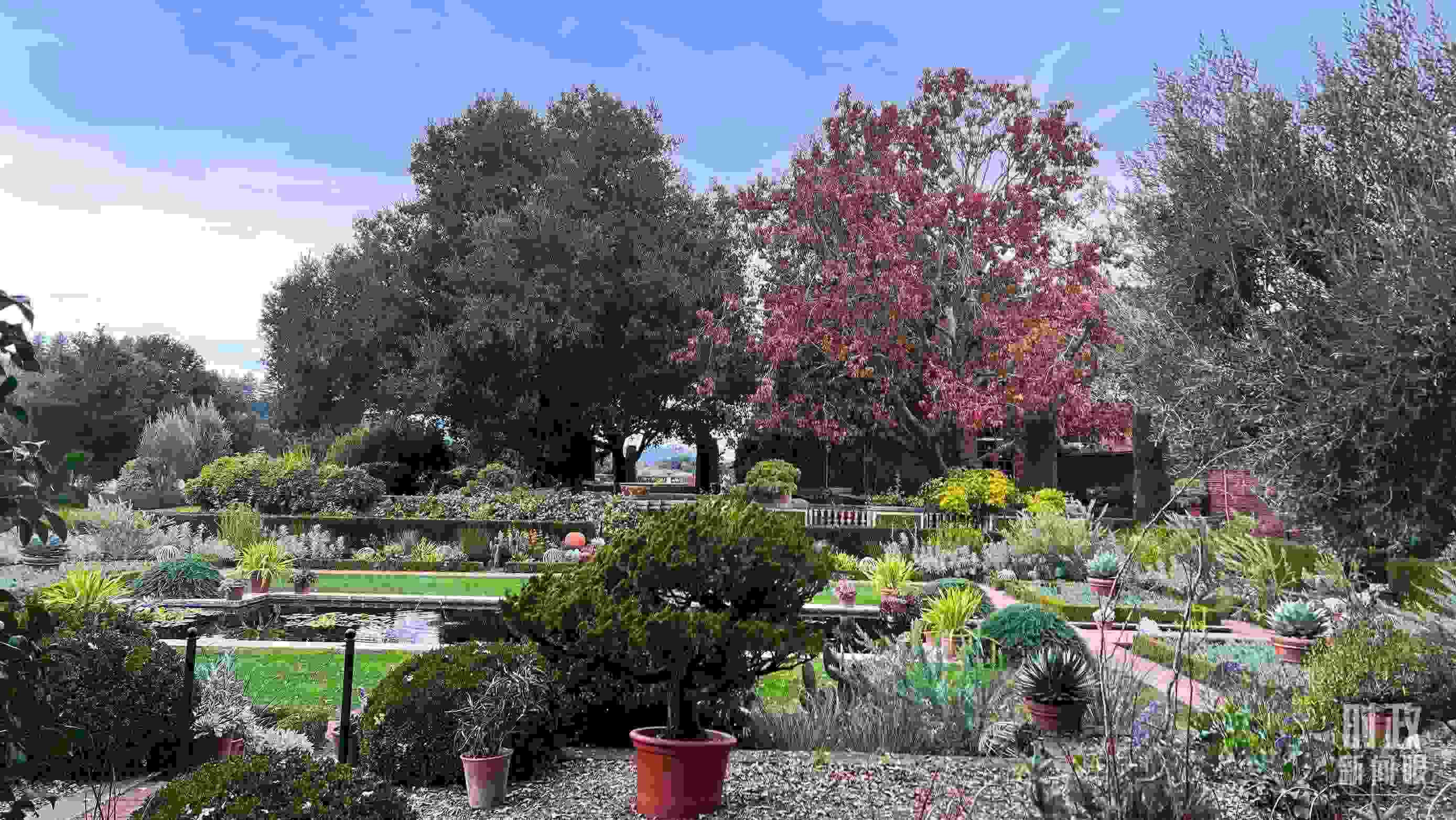 斐洛里莊園被稱作美國20世紀現(xiàn)存最精美鄉(xiāng)村莊園之一。（總臺央視記者程鋮拍攝）