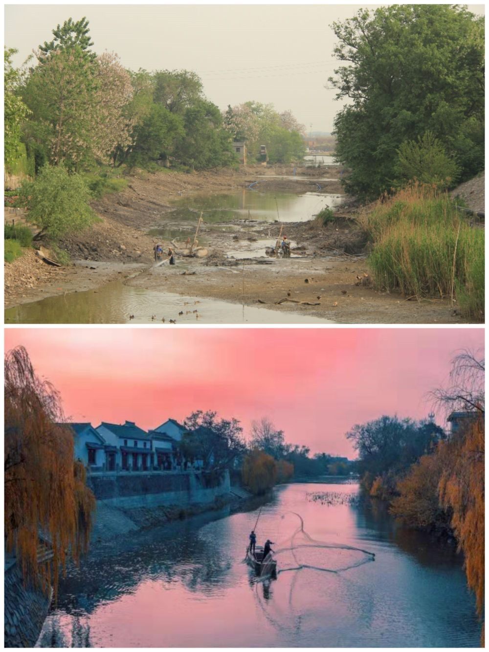 江蘇省揚(yáng)州市江都區(qū)明清運(yùn)河故道整治前后。（上圖：2012年；下圖：2020年）（孫友定 攝）