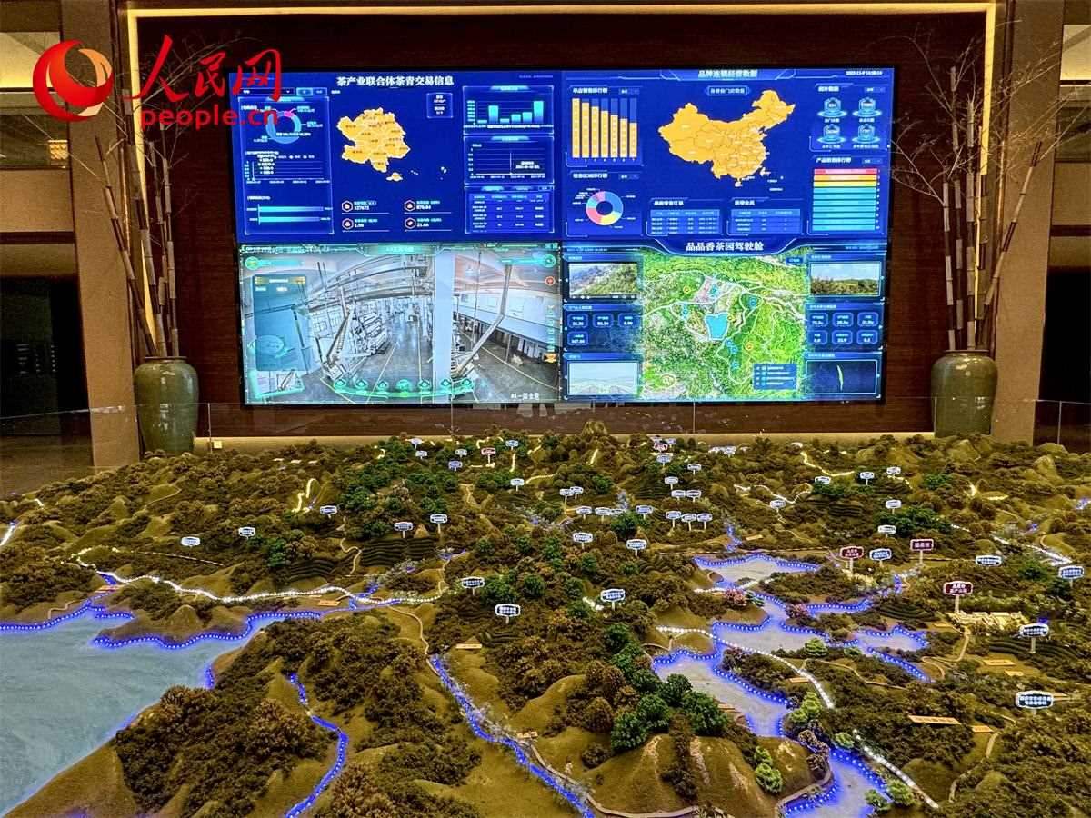 品品香白茶產(chǎn)業(yè)園信息中心數(shù)智化大屏。人民網(wǎng)記者 劉微攝