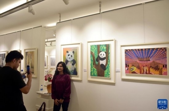 11月22日，在孟加拉國(guó)達(dá)卡，人們?cè)凇皣?guó)家印象”繪畫(huà)展上參觀拍照。新華社發(fā)（薩利姆攝）