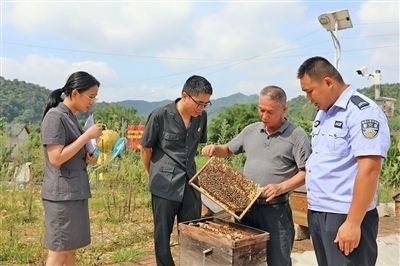  圖②：蒙山法院黃村法庭法官深入蜂蜜合作社，實地了解蜂農(nóng)需求。