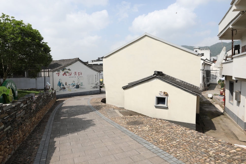 浙江省義烏市李祖村一景（2023年5月23日攝）。新華社記者 杜瀟逸 攝