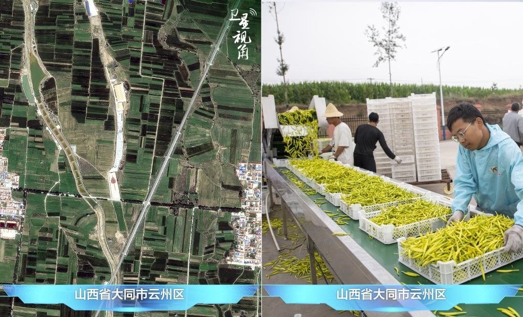 當(dāng)前，大同市開發(fā)黃花菜品、食品、飲品、功能食品、化妝品、文創(chuàng)產(chǎn)品六大系列130余種，全產(chǎn)業(yè)鏈產(chǎn)值超40億元。