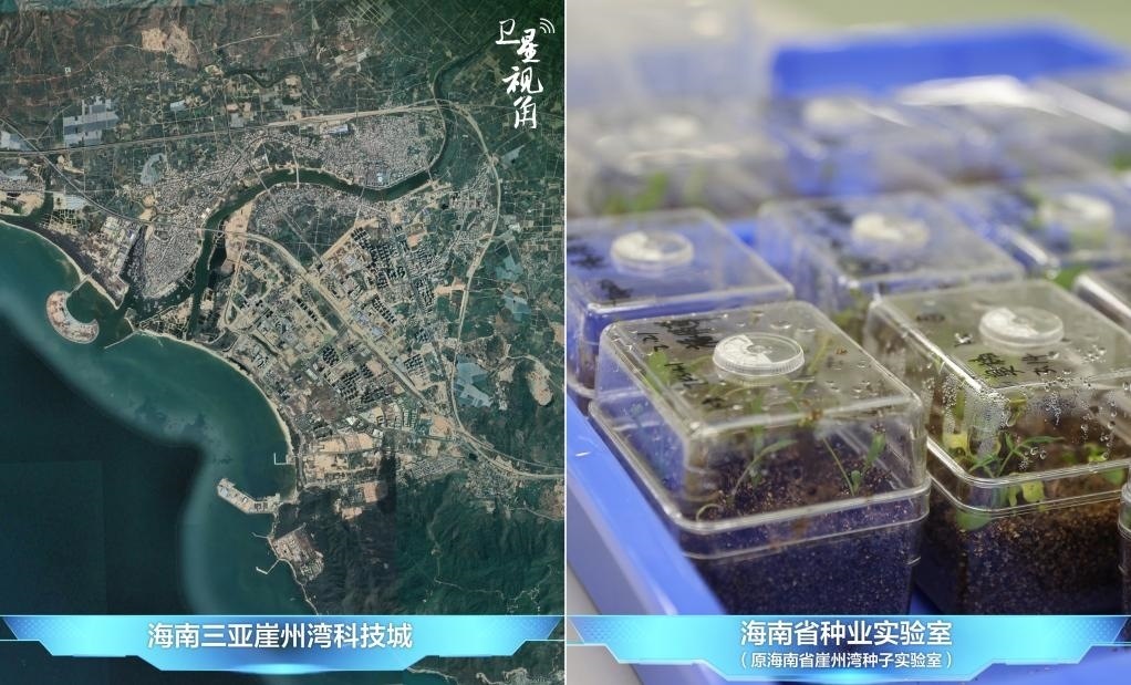 位于三亞崖州灣科技城的海南省種業(yè)實(shí)驗(yàn)室（原海南省崖州灣種子實(shí)驗(yàn)室）將形成輻射全國和“一帶一路”沿線國家的種子科學(xué)技術(shù)創(chuàng)新中心。