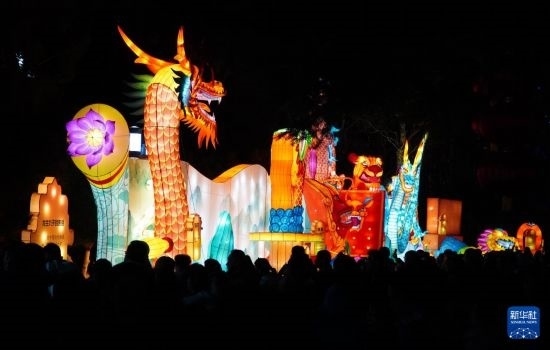 2月11日晚，人們在濟南市趵突泉公園觀賞花燈。