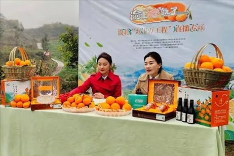 2021年2月26日，在重慶渝北區(qū)大盛鎮(zhèn)青龍村舉辦的直播活動(dòng)現(xiàn)場。