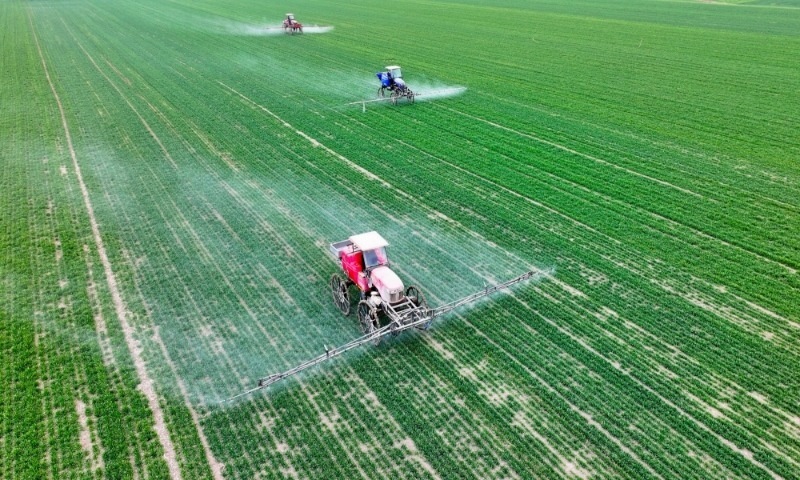 2024年2月18日，安徽省亳州市，利辛縣紀(jì)王場鄉(xiāng)孫老家村麥田，農(nóng)民駕駛自走式高桿噴霧機(jī)對(duì)小麥進(jìn)行噴藥作業(yè)。
