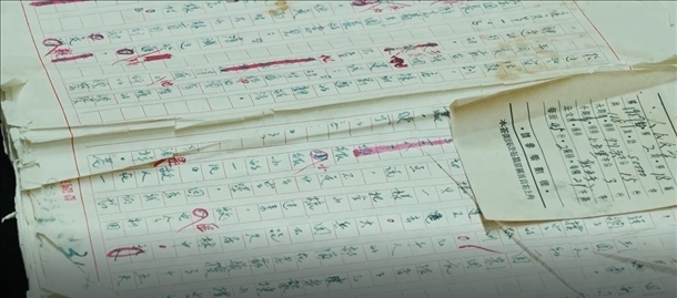 曲波《林海雪原》手稿。主辦方供圖