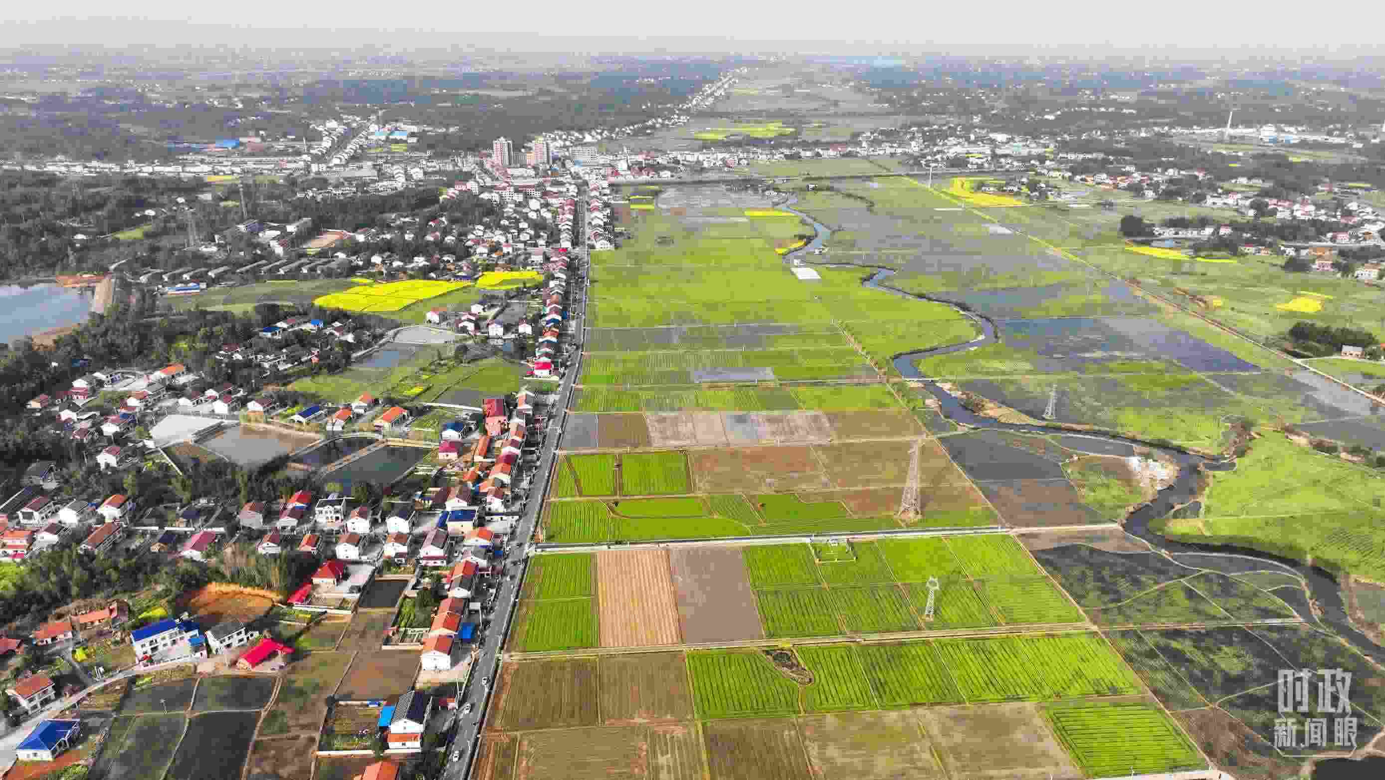 △俯瞰常德市謝家鋪鎮(zhèn)港中坪村。（總臺國廣記者李晉拍攝）