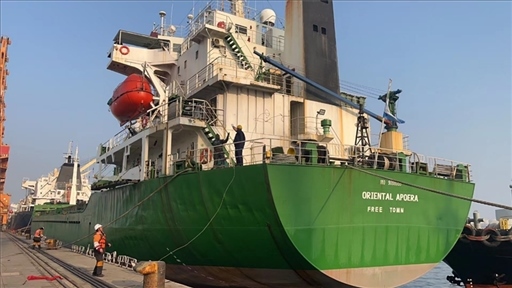 中蘇海運直航貨輪靠泊蘇里南碼頭。中國駐蘇里南大使館供圖