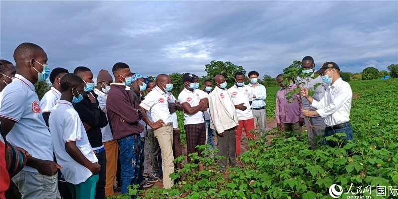 項(xiàng)目組長(zhǎng)首小勇向當(dāng)?shù)孛揶r(nóng)做技術(shù)講解。人民網(wǎng)記者 黃培昭攝