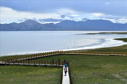 △ 游客行走在青海瑪多縣冬格措納湖畔的木棧道上。
