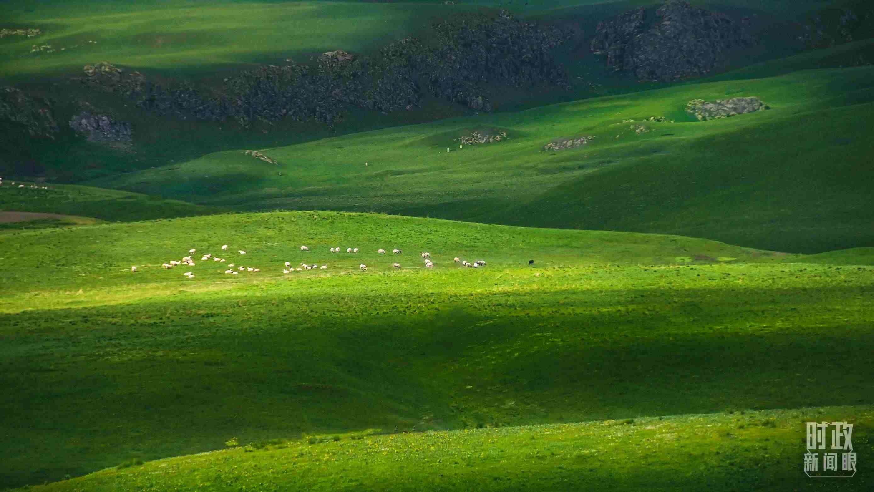 △祁連山草原光影。（圖/視覺(jué)中國(guó)）