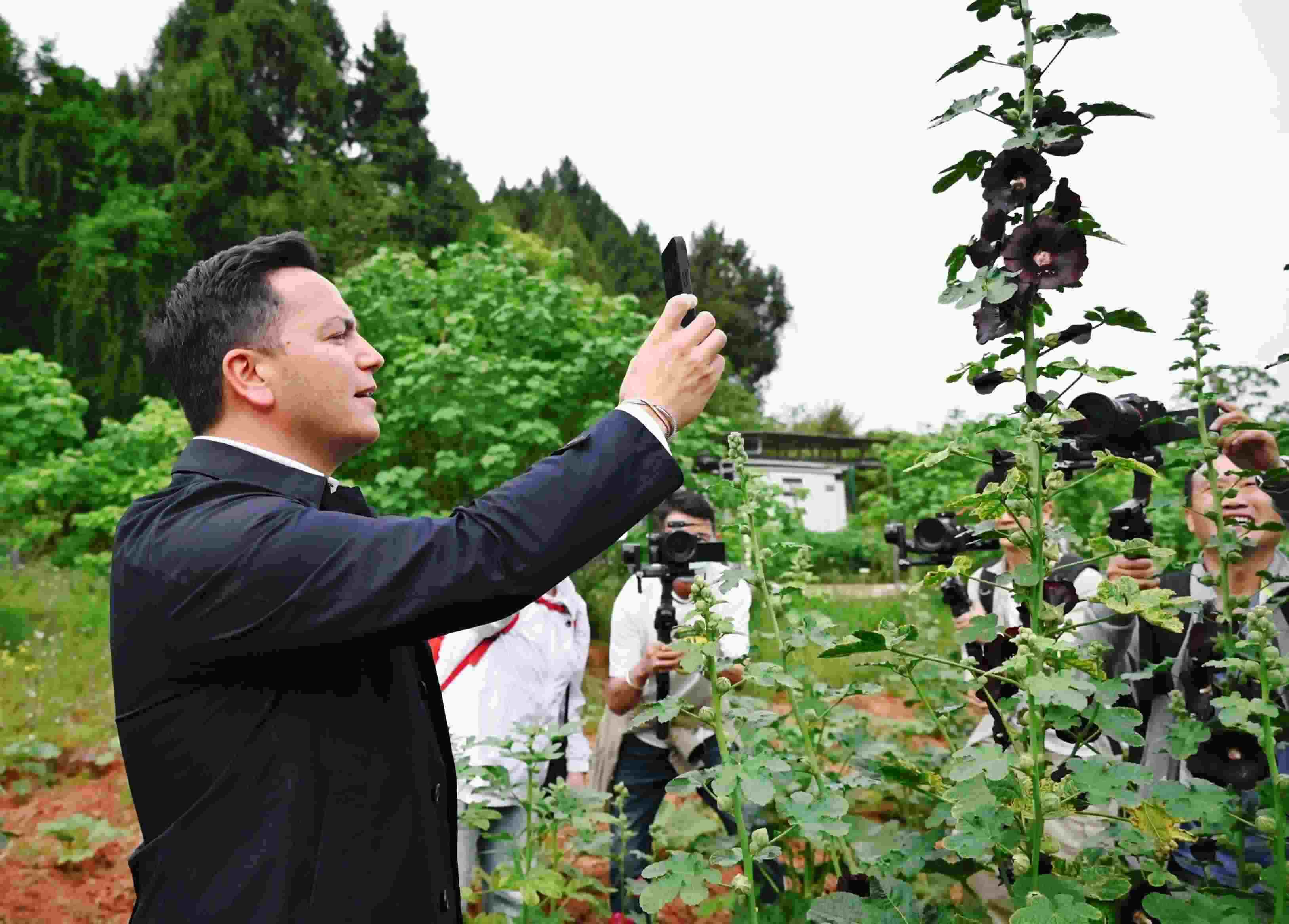  △2024年4月23日，國際園藝生產(chǎn)者協(xié)會主席萊昂納多·卡皮塔尼奧在成都市金堂縣鮮花山谷景區(qū)考察蜀葵產(chǎn)業(yè)。