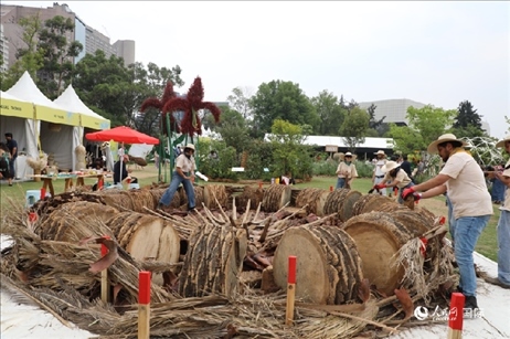 坎波·馬特活動(dòng)現(xiàn)場(chǎng)。埃內(nèi)斯托·多明戈斯攝