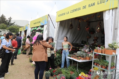 坎波·馬特活動(dòng)現(xiàn)場(chǎng)。埃內(nèi)斯托·多明戈斯攝