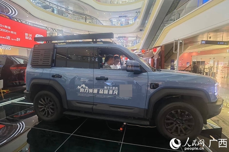 消費(fèi)者在商場(chǎng)選購(gòu)汽車。人民網(wǎng)記者 陳燕攝