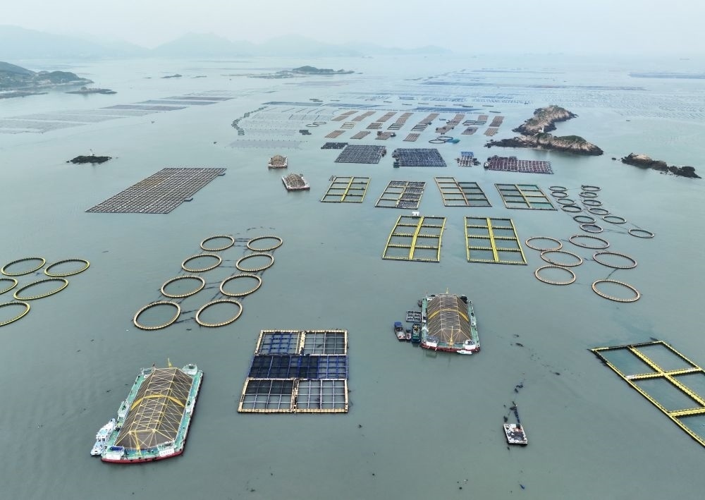 在福建連江定海灣海域，坐落著“定海灣1號”“定海灣2號”等深遠海養(yǎng)殖平臺（2024年5月7日攝，無人機照片）。新華社記者 林善傳 攝