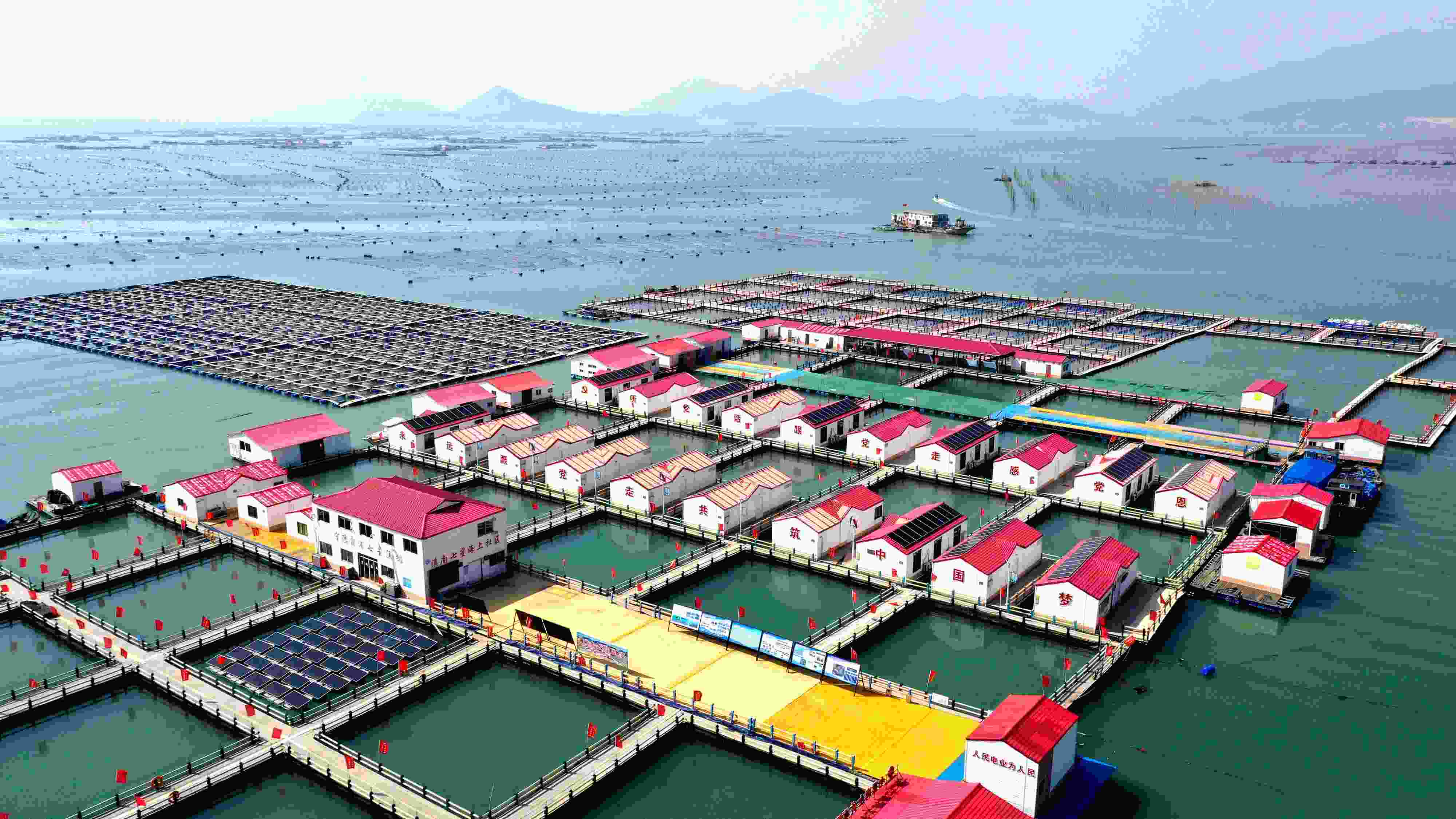 2024年3月20日，福建省寧德市，霞浦縣溪南鎮(zhèn)七星村漁排養(yǎng)殖示范區(qū)，漁民駕駛養(yǎng)殖船進(jìn)行海參養(yǎng)殖作業(yè)。