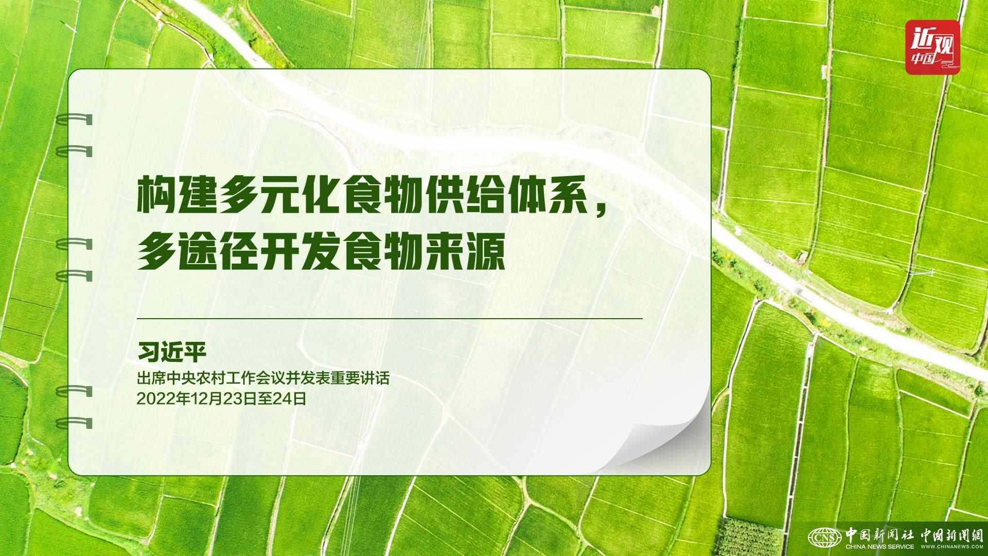 習近平：樹立大食物觀，構建多元化食物供給體系