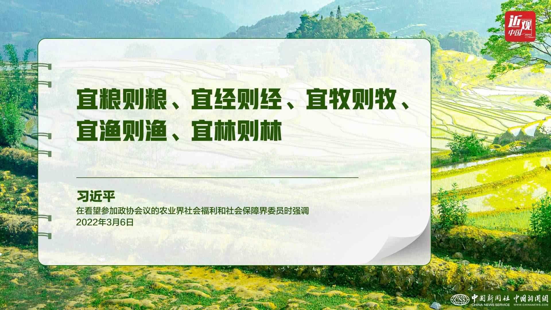 習近平：樹立大食物觀，構建多元化食物供給體系