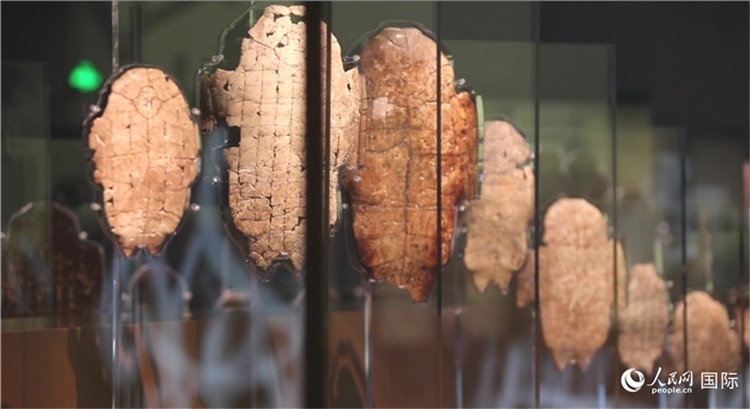 殷墟博物館新館的甲骨展品。人民網(wǎng)記者 劉寧攝