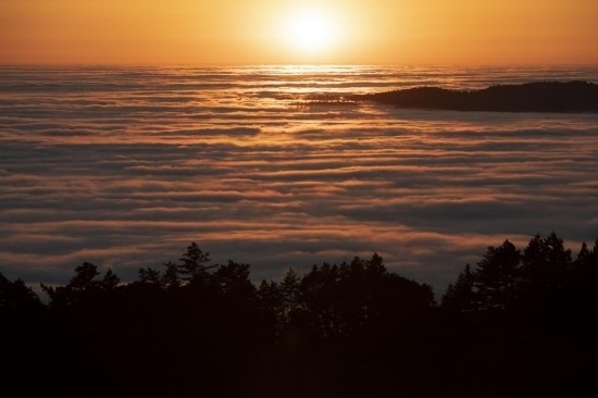 這是5月14日在美國加利福尼亞州馬林縣拍攝的云海。新華社發(fā)（李建國攝）