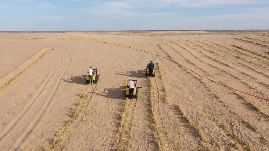 內(nèi)蒙古巴彥淖爾市烏拉特后旗西補(bǔ)隆林業(yè)管護(hù)中心職工駕駛機(jī)械鋪設(shè)壓沙障。新華社記者 李云平 攝