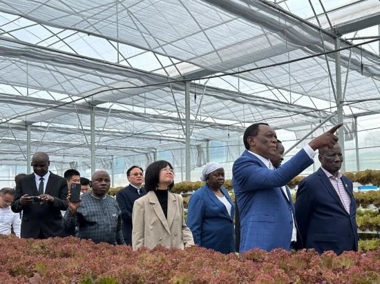 使節(jié)團(tuán)考察貴州省清鎮(zhèn)駱家橋蔬菜保供基地的無土栽培溫室。新華社記者 袁睿 攝