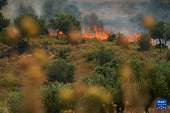 6月12日，以色列北部加利利地區(qū)遭受火箭彈襲擊后冒出滾滾濃煙。新華社發(fā)（阿亞爾·馬戈林攝/基尼圖片社）
