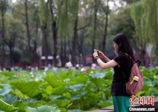 6月19日，時(shí)值一年畢業(yè)季，四川大學(xué)望江校區(qū)荷花池里的荷花盛開，成為了畢業(yè)生們的打卡圣地，吸引了眾多畢業(yè)生拍照留念。圖為畢業(yè)生在荷花池邊拍照留念。中新社記者 安源 攝