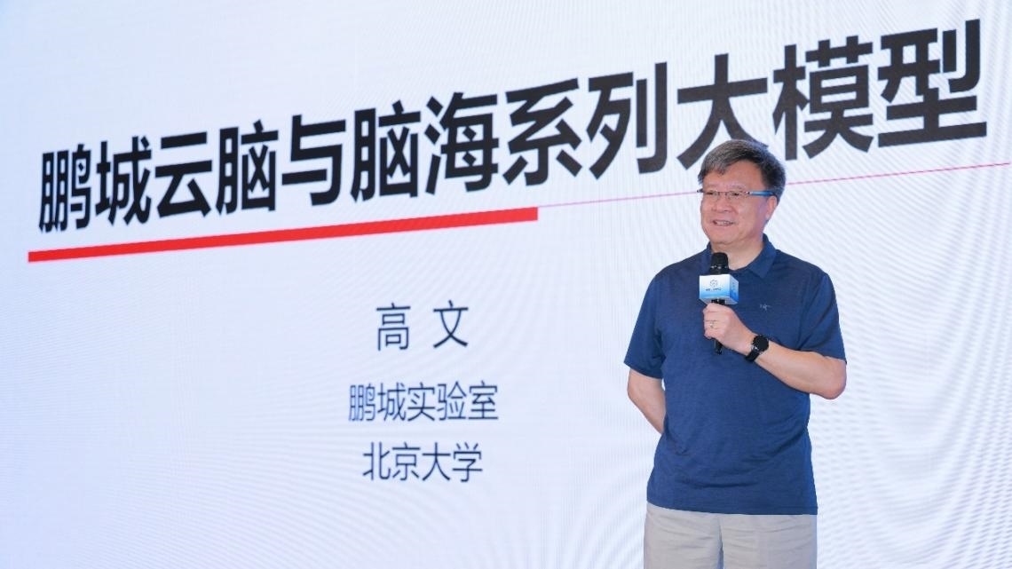 高文院士做大會特邀報告。主辦方供圖